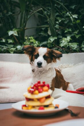 Blue_HayleyKelsingPhotography-36 (1)